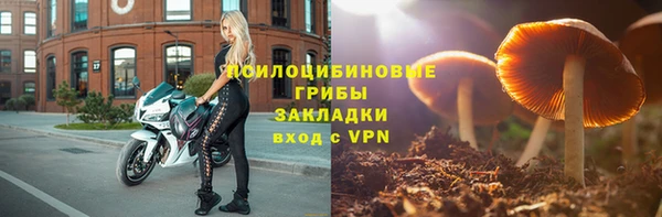 сатива Богородск