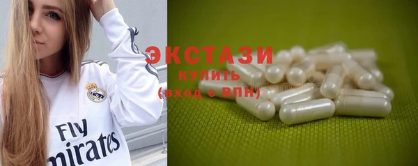 крисы Богородицк