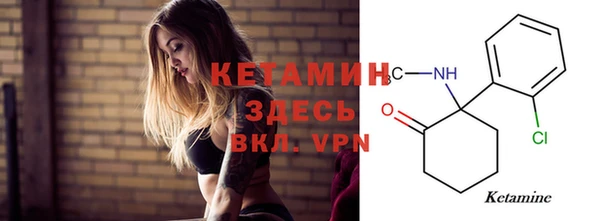 крисы Богородицк