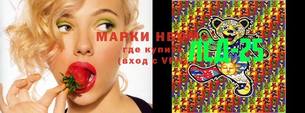 крисы Богородицк