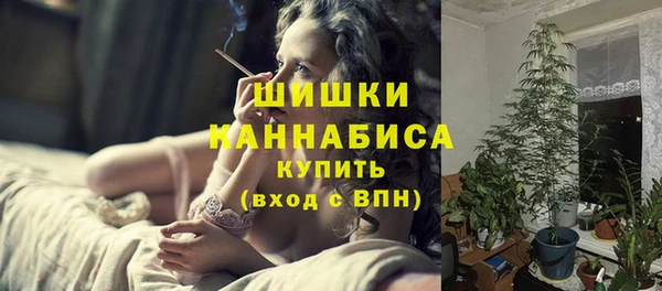 сатива Богородск