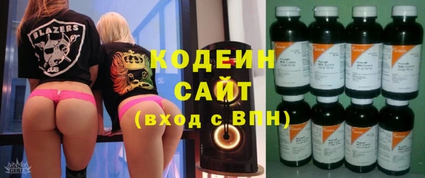 крисы Богородицк