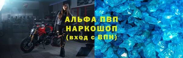 сатива Богородск