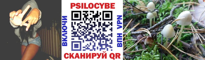 Купить закладки  Грязи  Псилоцибиновые грибы Cubensis 